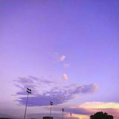 lm体育官网下载